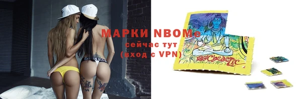 гидра Бородино