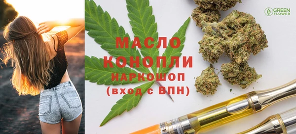 гидра Бородино