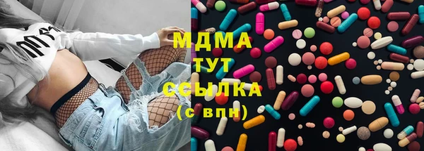 гидра Бородино