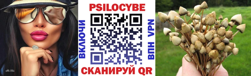 Галлюциногенные грибы Magic Shrooms  дарк нет состав  Воскресенск 