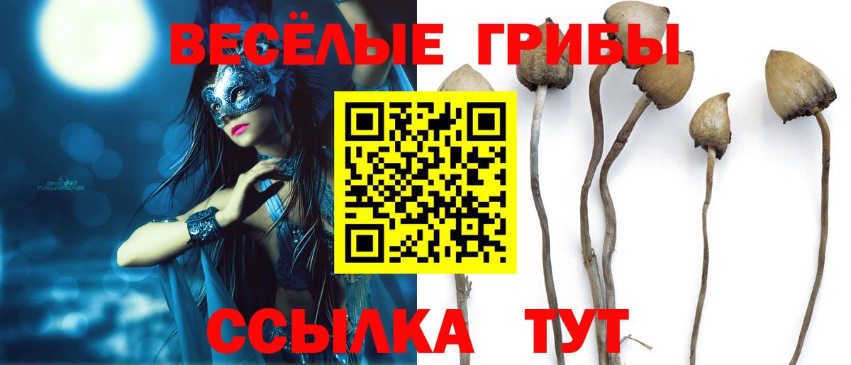 Воскресенск  Псилоцибиновые грибы Magic Shrooms  Вход с VPN 